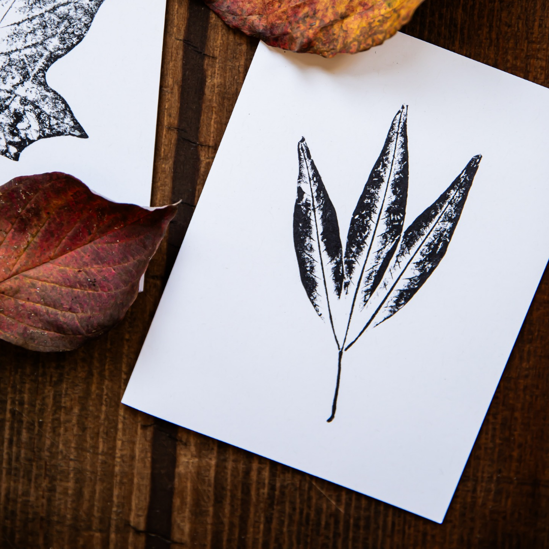 Individual Botanical Monoprint Card (Blank)