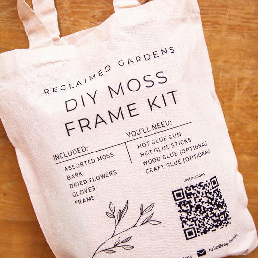 DIY Moss Art Kit