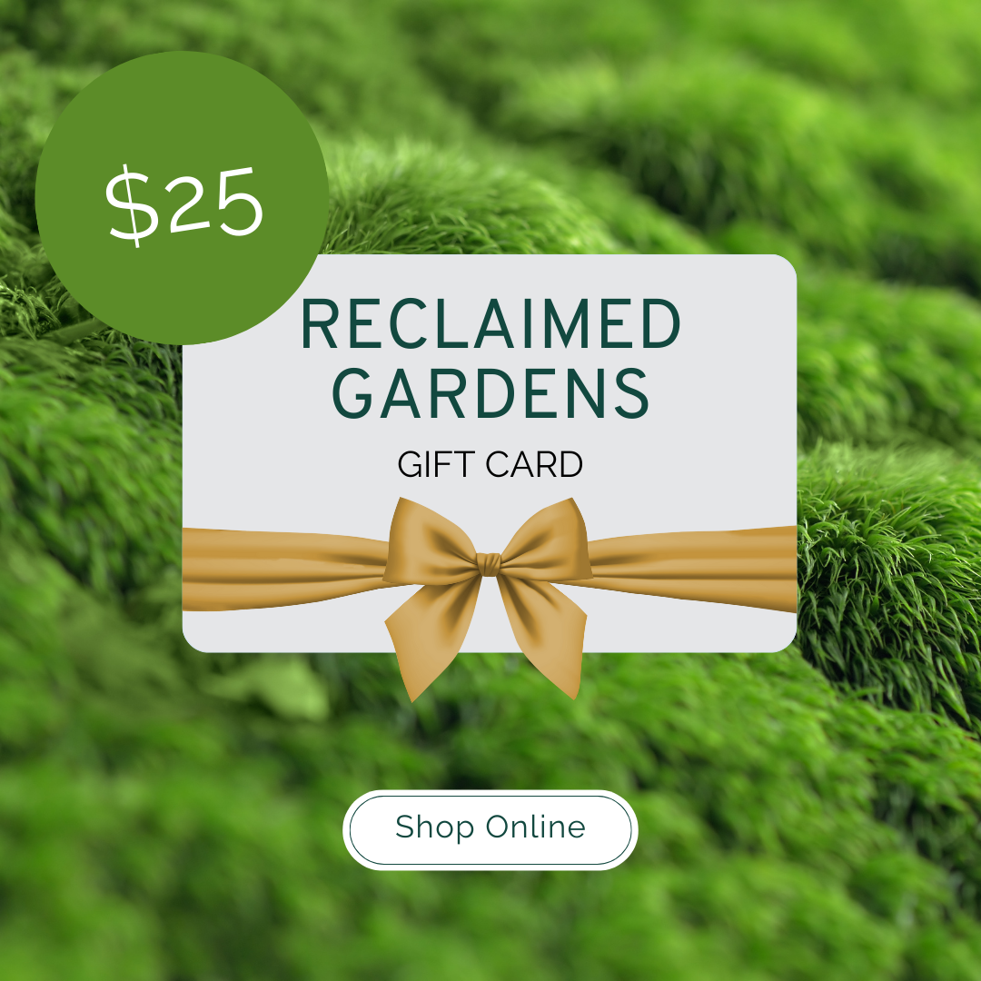 Moss RG Gift Card