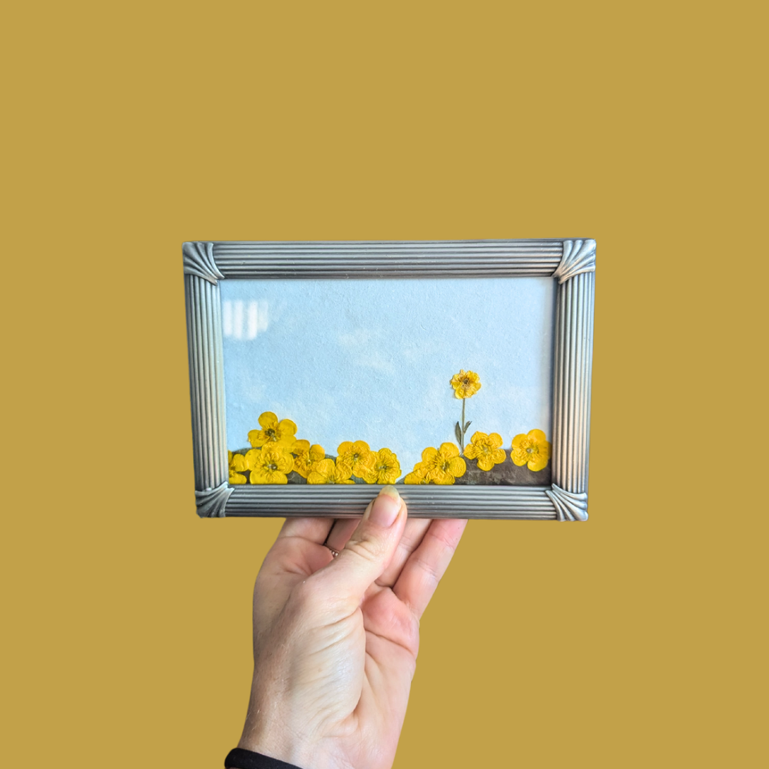 Framed Pressed Flowers