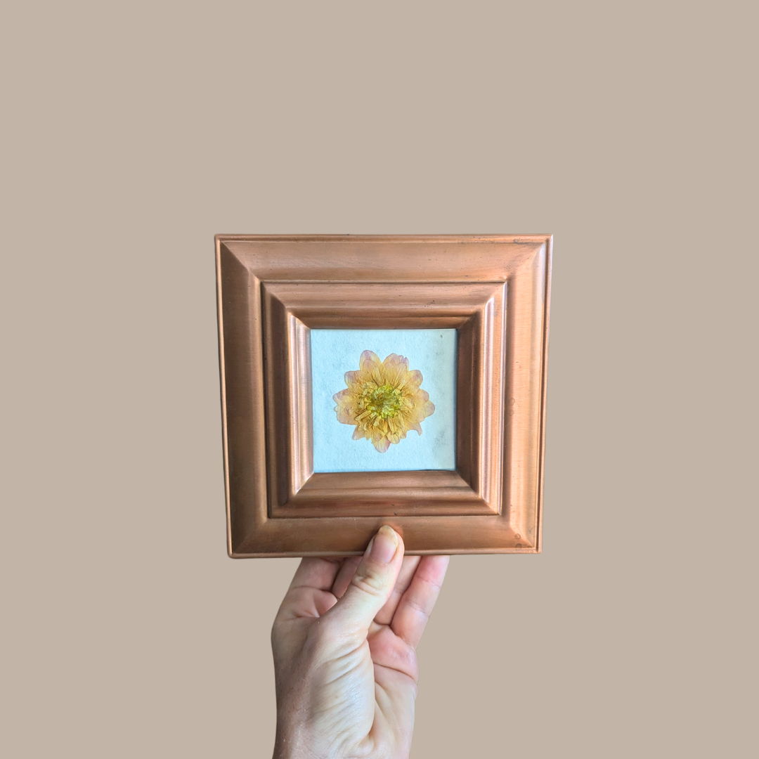 Pressed Mini Dahlia