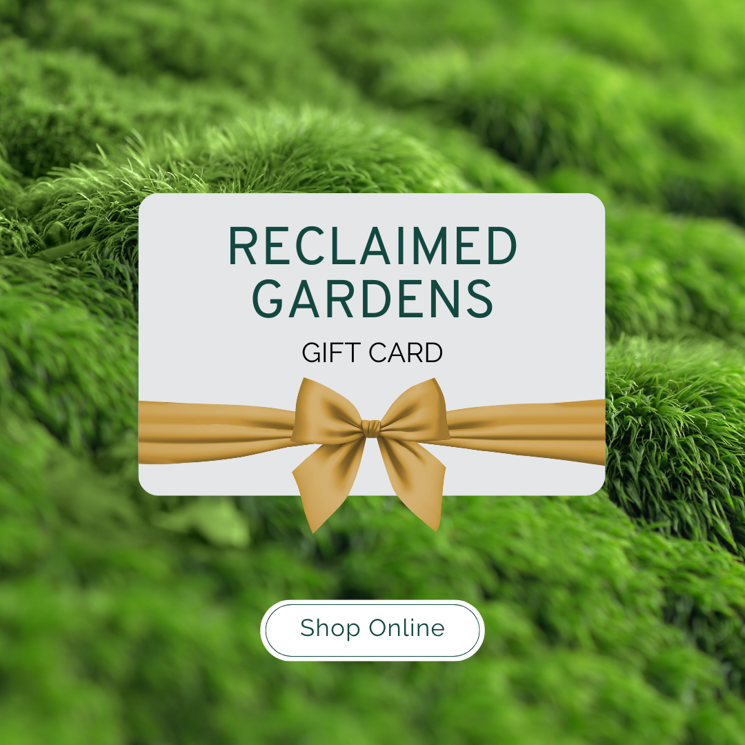 Moss RG Gift Card