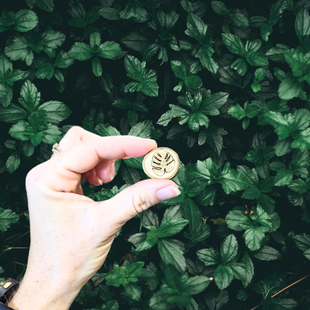 Mushrooms Wooden Magnets