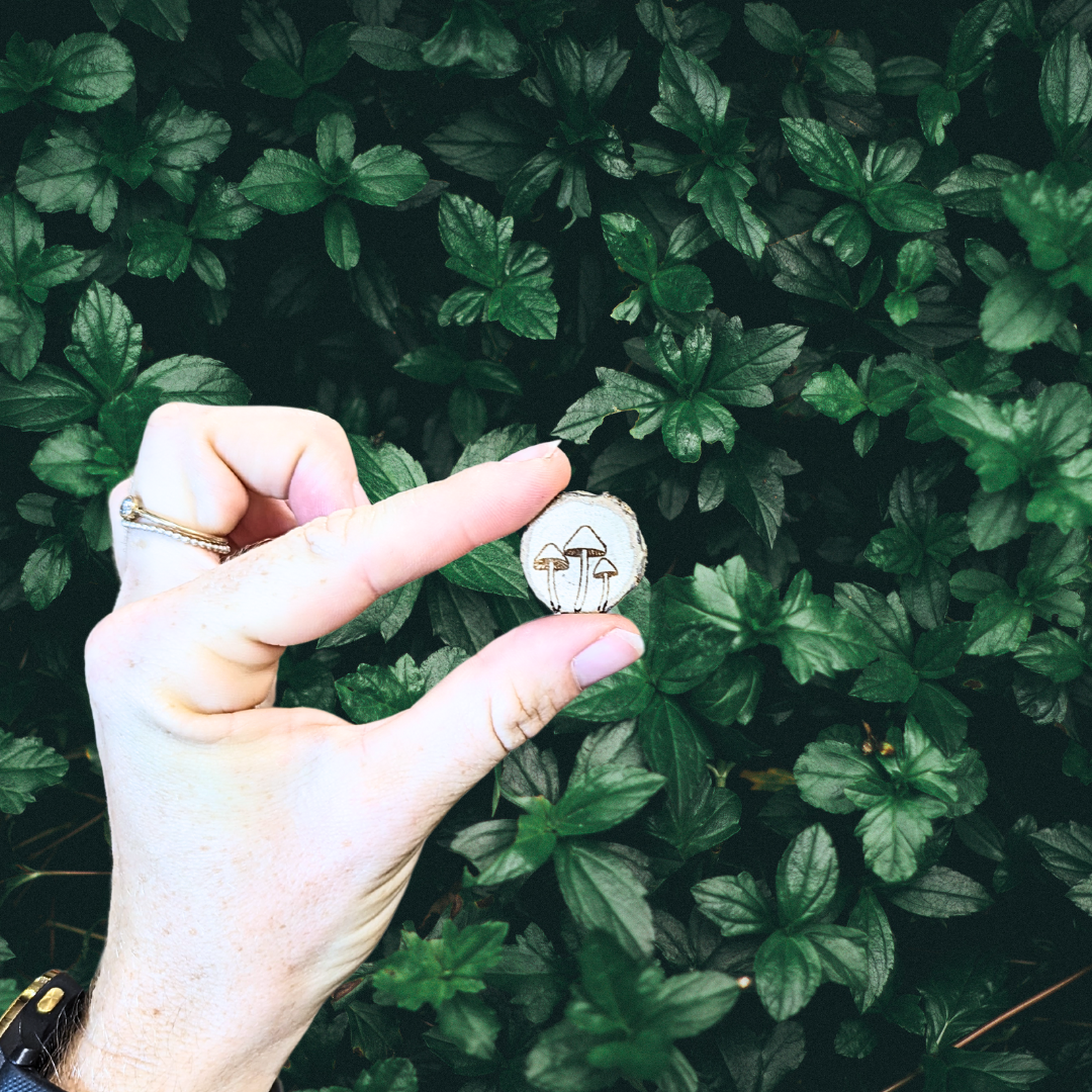 Mushrooms Wooden Magnets