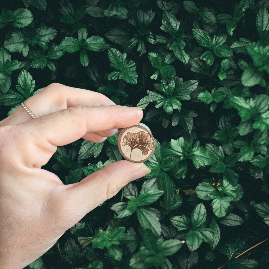 Mushrooms Wooden Magnets