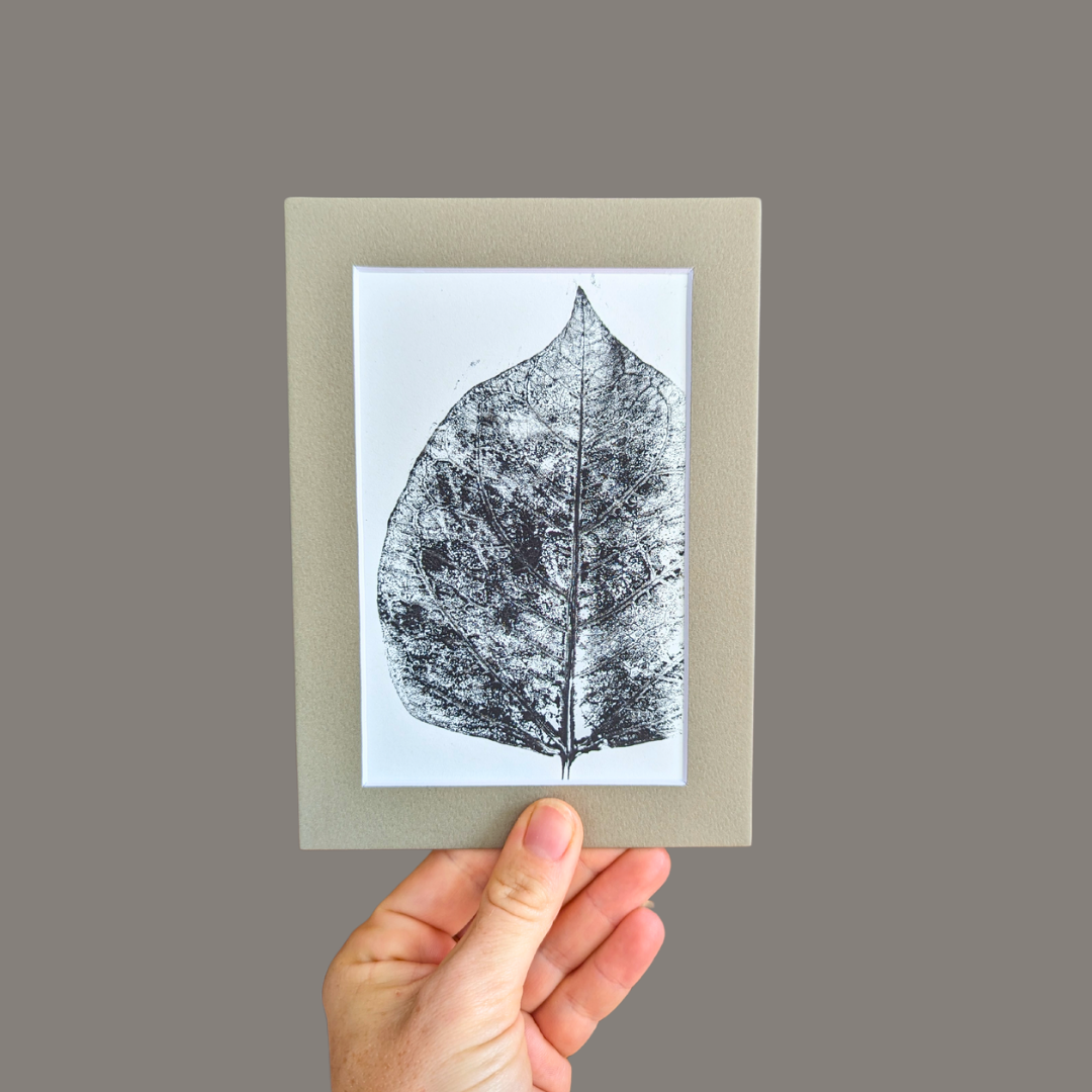 Prints Botanical Monoprints