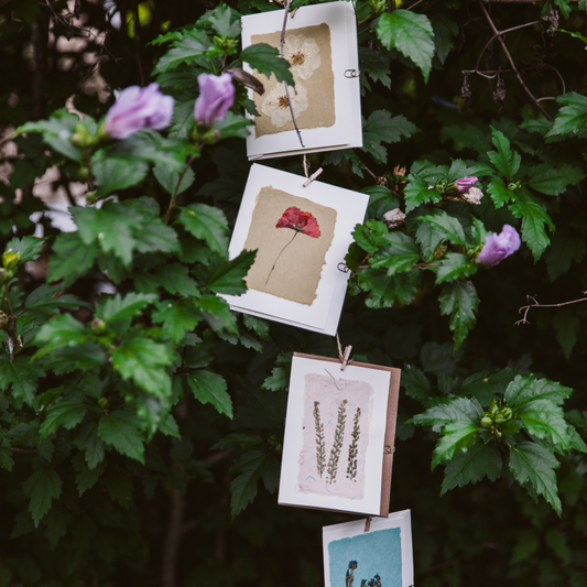 Pressed Flower Greeting Cards (Blank)